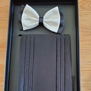 Men's silk bow tie and cummerbund set